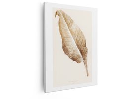 Artaza Canvas Schilderij Gouden Canna Atro-Purpurea Blad Illustratie met Textuur - 80x100 cm - Groot - Wanddecoratie Woonkamer - Schilderijen - Muurdecoratie