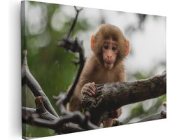 Artaza Canvas Schilderij Klein Baby Aapje Op Een Tak - 60x40 - Foto Op Canvas - Canvas Print