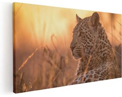 Artaza Canvas Schilderij Luipaard Rust In De Zon - 120x60 cm - Groot - Wanddecoratie Woonkamer - Schilderijen - Muurdecoratie