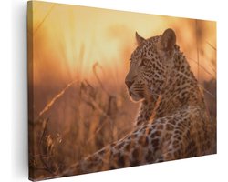 Artaza Canvas Schilderij Luipaard Rust In De Zon - 120x80 cm - Groot - Wanddecoratie Woonkamer - Schilderijen - Muurdecoratie