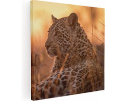 Artaza Canvas Schilderij Luipaard Rust In De Zon - 80x80 cm - Groot - Wanddecoratie Woonkamer - Schilderijen - Muurdecoratie