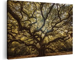 Artaza Canvas Schilderij Oude Eik - Charleston - 60x40 cm - Wanddecoratie Woonkamer - Schilderijen - Muurdecoratie