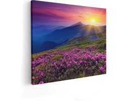 Artaza Canvas Schilderij Roze Rhododendron Bloemenveld - Bergen - 50x40 - Foto Op Canvas - Canvas Print