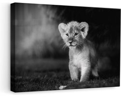 Artaza Canvas Schilderij Schattige Leeuwen Welp - Baby Leeuw - Zwart Wit - 60x40 cm - Wanddecoratie Woonkamer - Schilderijen - Muurdecoratie