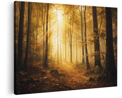 Artaza Canvas Schilderij Verlicht Bos - Herfstzon Door De Bomen - 60x40 cm - Wanddecoratie Woonkamer - Schilderijen - Muurdecoratie