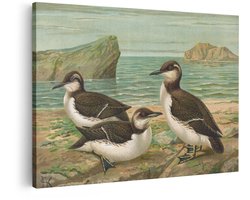 Artaza Canvas Schilderij Zeevogels - 30x20 cm - Wanddecoratie Kustlijn - Muurdecoratie Dieren - Vintage Schilderij Natuur