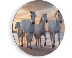Artaza Dibond Muurcirkel Witte Paarden Op Het Strand Bij Water - Ø 60 cm - Wandcirkel - Rond Schilderij - Voor Binnen en Buiten