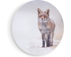 Artaza Forex Muurcirkel Vos in de Sneeuw - 70x70 cm - Wandcirkel - Rond Schilderij - Wanddecoratie Cirkel - Muurdecoratie