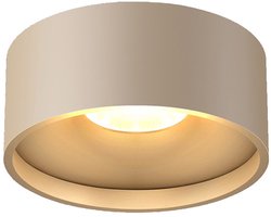 Artdelight Moderne LED Plafonnieres Oran 1 Lichtpunt Rond Champagne Aluminium Slaapkamer Gang/Hal Badkamer Keuken Dimbaar IP54