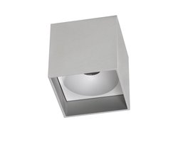 Artdelight - Plafondlamp Brock - Aluminium - LED 7W 2700K - IP20 - Dimbaar > spot verlichting led | opbouwspot led | plafonniere led mat staal | led lamp