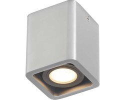 Artdelight RVS opbouwspot Bronx - PL BRONX1 ALU