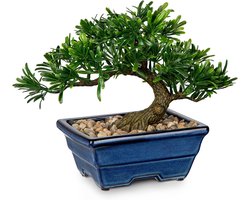 Artificial bonsai tree - juniper artificial plants indoor - small fake plants decor with blue ceramic pots for home table - office desk - bathroom shelf - bedroom - living room - farmhouse