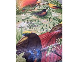 As Creation 6954-20 jungle behang