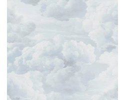 AS Creation Pacifica 39990-2 Wolken behang dubbelbreed
