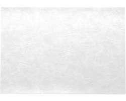ASA Selection | Placemat | Vegan Leather | Rechthoekig | PU - Lederoptiek | Wit | 46x33CM