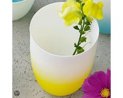 ASA-Selection Vaas Neon