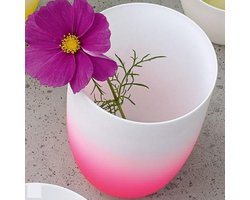 ASA-Selection Vaas Neon