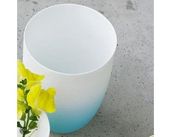 ASA-Selection Vaas Neon