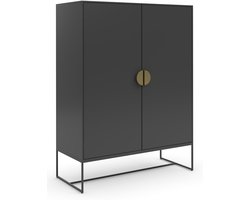 Asia|Kast met 2 deuren antraciet
