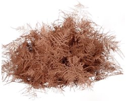 Asparagus koper - Kerstdecoratie - Bloemen - Kerst bloemen - 80 cm