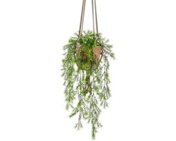 Asparagus Sprengeri Kunst Hangplant in stenen pot 75cm