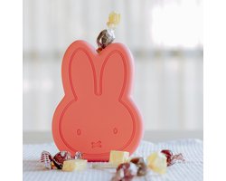 Atelier Pierre Nijntje Opbergdoos - Koraal - Medium