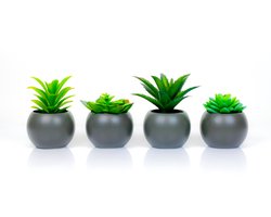 Atmosphera Kunstplanten in Pot - Grijs Rond - Set van 4 - Voor Binnen - Klein - Nep plant - Succulent - Wonen & Decoratie - Interieur - Keuken - Badkamer - Woonkamer