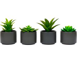Atmosphera Kunstplanten in Pot - Grijs - Set van 4 - Voor Binnen - Klein - Nep plant - Succulent - Wonen & Decoratie - Interieur - Keuken - Badkamer - Woonkamer