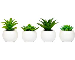 Atmosphera Kunstplanten in Pot - Wit Rond - Set van 4 - Voor Binnen - Klein - Nep plant - Succulent - Wonen & Decoratie - Interieur - Keuken - Badkamer - Woonkamer