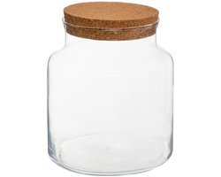 Atmosphera Pot/vaas van glas voor planten ecosysteem - deksel van kurk - D18 x H21 cm - terrarium