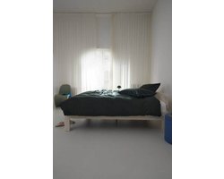 Auping Easy Green - Kussensloopset 60x70cm- Groen - Katoen