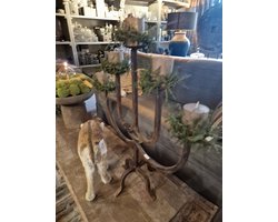 AURA PEEPERKORN| KANDELAAR MARRAKECH| 5-ARMS|ROESTMETAAL| HANDMADE| SFEER