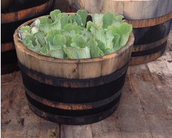 Authentieke houten bloembak "old look"/ Mini-Vijver / Plantenbak – 100 liter kastanje hout (1/2 vat) – Ø 50 cm x H 30 cm