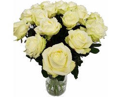 Avalanche+ - Witte Rozen - Bos 12 rozen - 70 cm lang - Verse rozen rechtstreeks van de kweker
