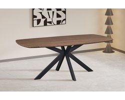 Aziz Deens Ovale Eettafel – 200 x 100 cm – Donkere Eikenlook – Zwarte Metalen Matrixpoot