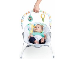 Baby Hangmat Bright Starts Safari Fun