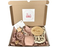 Baby meisje brievenbus cadeau - knuffel - slab - speenkoord - bijtring