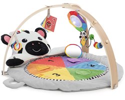 Baby pluche activity gym milestones - Baby Einstein - vanaf 0 maanden