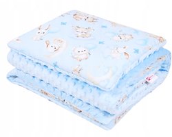 BabyLux Minky Katoenen Dubbelzijdig Dekentje & Kussen 75x100cm