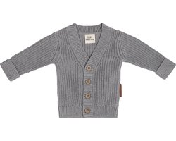 Baby's Only Vestje Soul - Grijs - 56 - 100% ecologisch katoen - GOTS