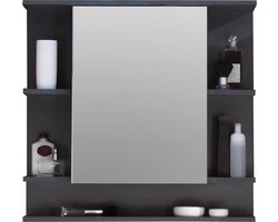 Badkamer Spiegelkast 72 X 76 X 20 Cm Donkergrijs - Trendteam Smart Living - Stijlvol Ontwerp