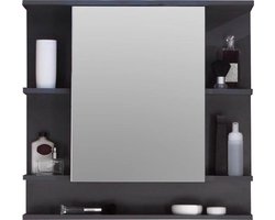 Badkamer Spiegelkast 72 X 76 X 20 Cm Donkergrijs - Trendteam Smart Living - Stijlvol Ontwerp