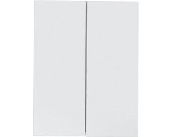 Badkamer spiegelkast Skin - wit melamine - opbergruimte - 60 x 67 x 18 cm
