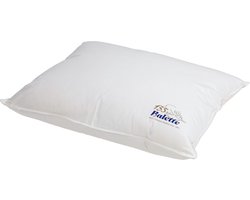 Balette Donzen Hoofdkussen – 40x80 cm - Luxe Kussen met Natuurlijk Dons – Anti-Allergeen & Anti-Huisstof – Zacht & Ademend – Percale Katoen - Voor Alle Slaaphoudingen