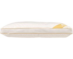 Balette Greenfirst Donzen Hoofdkussen – 50x70 cm - 3-Kamer Kussen – Medium Stevigheid – Wasbaar & Anti-Allergisch – Europees Dons & Percal Katoen - Voor Alle Slaaphoudingen