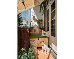 Balkon bank | Balkon tafel | Opbergruimte "3in1": Small 85cm | Balkonbank | Balkon bankje