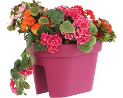 Balkonbak Ovaal 39,5 cm - Fuchsia Bloembak voor Balkon en Terras
