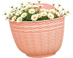 Balkonplantenbak - Hangbak - Planten Buiten - Zelfwaterend - 25 cm diameter - Roze