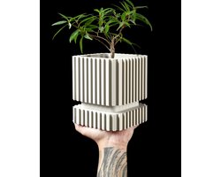 Bambo Bloempot Medium | Voor Binnen of Kantoor