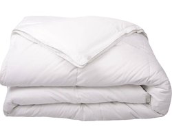 Bamboe 4-Seizoenen Dekbed (B-keus) - Duo - 100% Bamboe - 200x200 cm